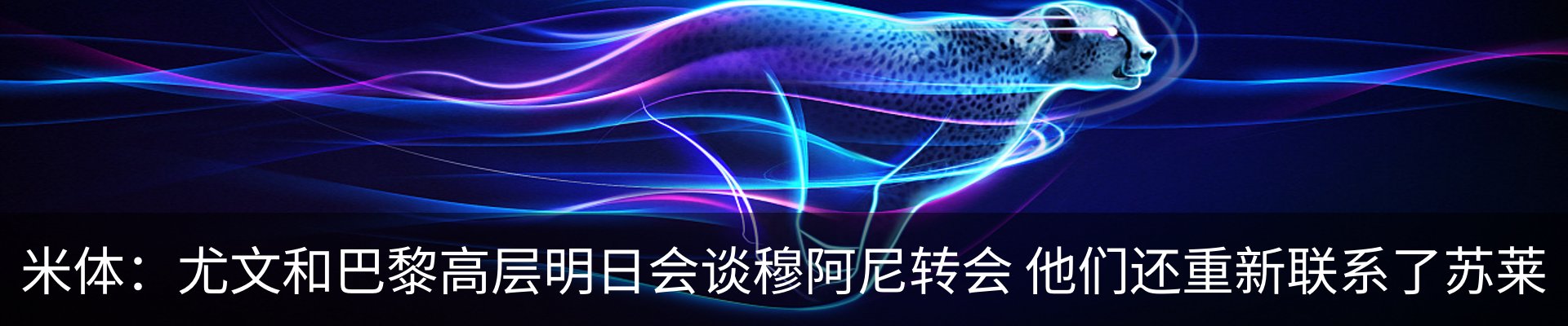 资讯动态